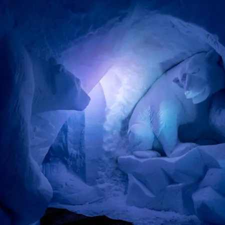 Village Igloo Les Arcs Szálloda 5*